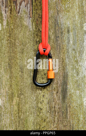 Metal carabine for mountaineering. Photo of colored carabines. Climbing concept Stock Photo