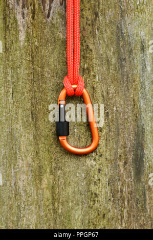 Metal carabine for mountaineering. Photo of colored carabines. Climbing concept Stock Photo