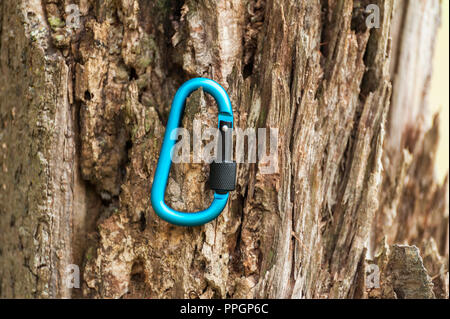 Metal carabine for mountaineering. Photo of colored carabines. Climbing concept Stock Photo