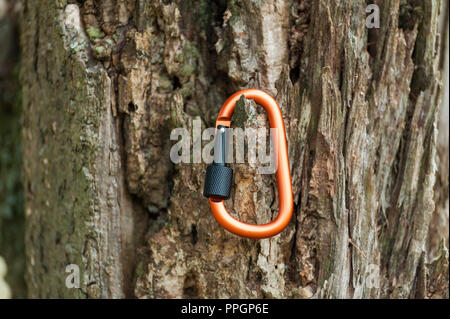 Metal carabine for mountaineering. Photo of colored carabines. Climbing concept Stock Photo