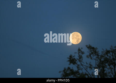 A full harvest moon rises over St. Francis Basillica near the historic ...