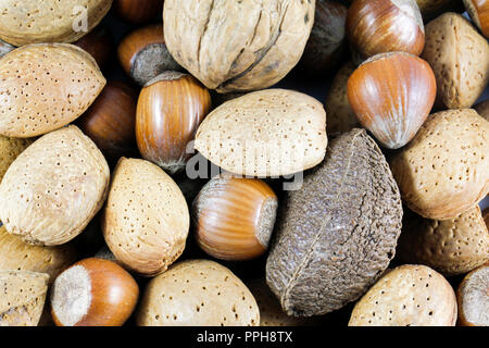 Top view of mixed nuts including walnut, hazelnuts, almonds and a brazil nut Stock Photo