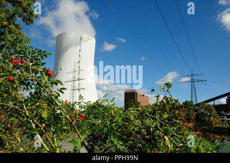 Coal-fired power station and nature under blue sky in Heilbronn, Baden Wuerttemberg, Germany, Europe Stock Photo