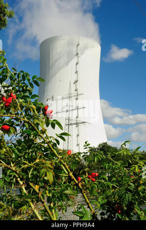 Coal-fired power station and nature under blue sky in Heilbronn, Baden Wuerttemberg, Germany, Europe Stock Photo