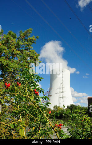 Coal-fired power station and nature under blue sky in Heilbronn, Baden Wuerttemberg, Germany, Europe Stock Photo