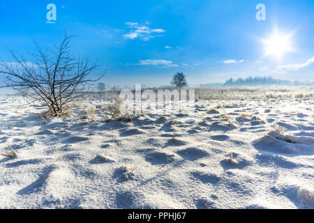Winter landscape with snow on field and sky with sun star in the morning Stock Photo