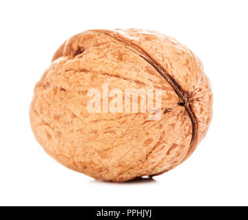 single walnut in a shell, isolated on white background Stock Photo