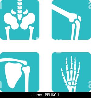 Set of orthopedic and skeleton bones symbols. Vector skull, elbow, hand ...