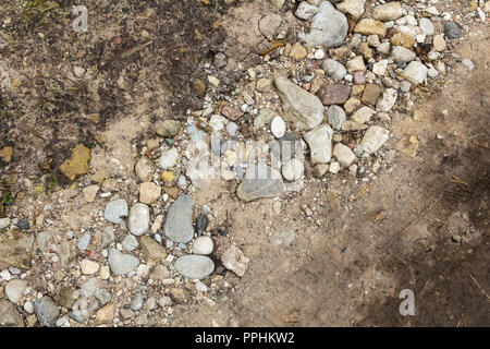 Close up wet stony soil in a end of summer, abstract background Stock Photo