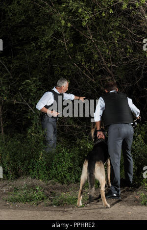 mature policeman with gun pointing by finger to colleague with alsatian on leash near forest Stock Photo