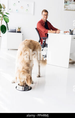 golden retriever eating near businessman sitting at workplace Stock Photo