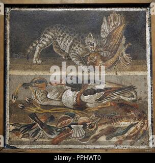 Roman mosaic. Cat with bird, ducks and sea life. Pompeii, House of the Faun (VI, 12, 2). 2nd century BC.National Archaeological Museum, Naples. Italy. Stock Photo