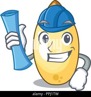 Architect character brown cedar nut fruit on plate Stock Vector