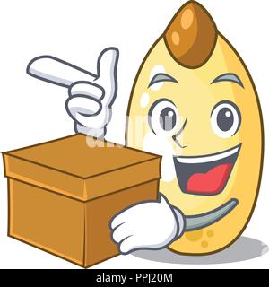 With box character brown cedar nut fruit on plate Stock Vector