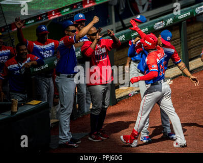 Rusney Castillo de Puerto Rico celebra homerun con el dogout. . Partido de beisbol de la Serie del Caribe con el encuentro entre Caribes de Anzoátegui Stock Photo