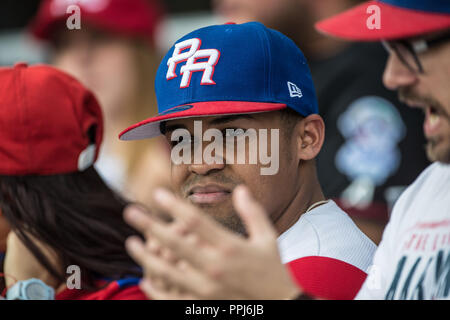 Puerto Rico Baseball Cap Serie del Caribe