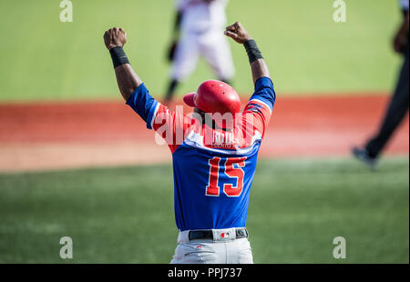 Irving Falu (15) de Caguas de Puerto Rico celebra Homerun de cuatro carreras Anthony Garcia en la parte alta del sexto inning, para empatar el partid Stock Photo