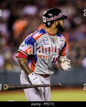 Ronny Rodriguez (15) de Águilas Cibaeñas de Republica Dominicana, observa la trayectoria de la pelota en un Homerun, en la parte alta del sexto inning Stock Photo