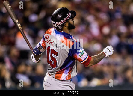 Ronny Rodriguez (15) de Águilas Cibaeñas de Republica Dominicana, observa la trayectoria de la pelota en un Homerun, en la parte alta del sexto inning Stock Photo