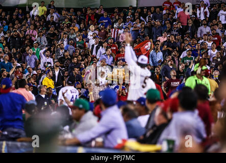 , durante el partido entre Puerto Rico contra Venezuela, World Baseball Classic  en estadio Charros de Jalisco en Zapopan, Mexico.  March 10, 2017. (A Stock Photo