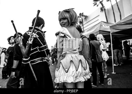 Anime convention opens up space for a growing subculture