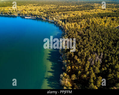 Aerial drone photo of green tree crones growing in lake shore, mixed autumn forest like a design pattern, privacy and tranquility of Russian countrysi Stock Photo