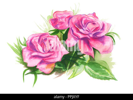 Illustration of color drawing of watercolor of flowers of roses collected in inflorescence Stock Photo