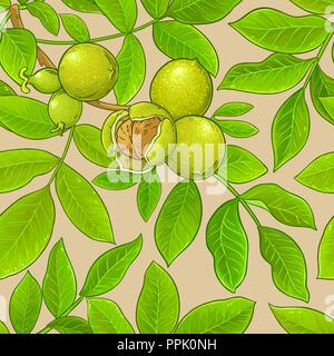 walnut vector pattern on color background Stock Vector