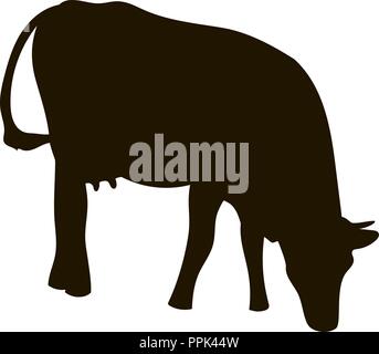 Vector silhouettes of cows, different poses, black color, isolated on white Stock Vector