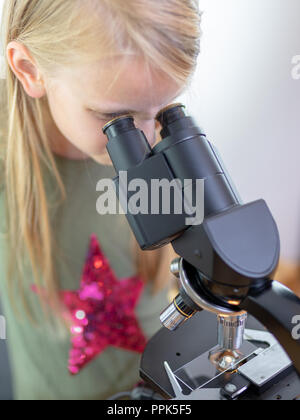 A 7 year old girl looks into an eyepiece of a microscope. Isolated against white background Stock Photo