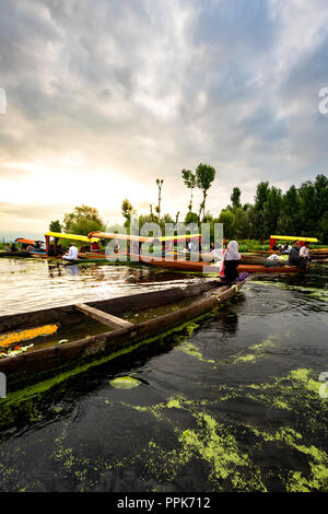 The beauty of Dal lake and the beautiful Shikaras during sunrise and sunset is the most charming thing in Kashmir Stock Photo