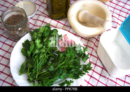 View all the ingredients necessary to make green mojo at home with cilantro, parsley, salt, oil and cilantro. Stock Photo