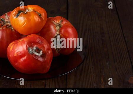 Spoiled, rotten three tomatoes on a dark wooden background. Stock Photo