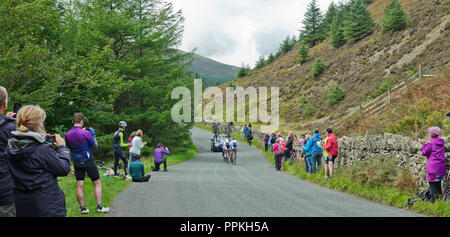 Stage 5 Tour of Britain 2018, Team Time Trial Whinlatter Pass. Spectators applaud & take photos as Team One Pro Cycling approach final uphill section. Stock Photo