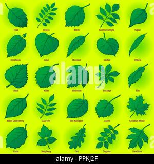 Leaves of Plants, Set Stock Vector