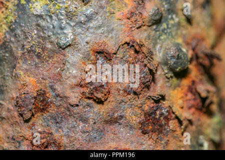 Corroded Metal Surface Stock Photo