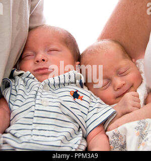 Square portrait of premature twin newborn babies. Stock Photo