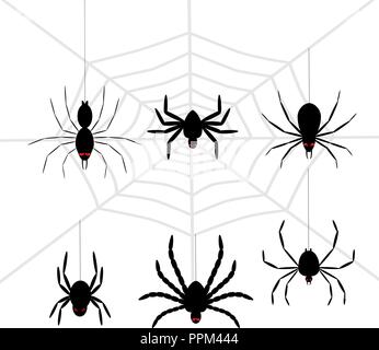 Scary black halloween spider set Stock Vector