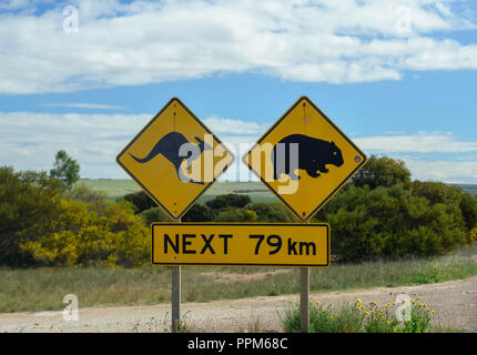 Kangaroos and wombats, road sign in South Australia Stock Photo