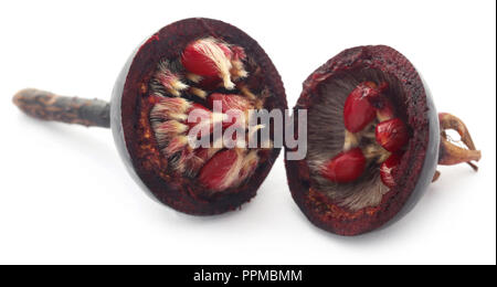 Rosa rugosa or beach rose black fruit over white background Stock Photo