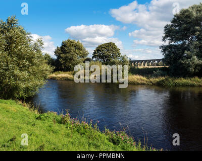 Arthington Viaduct, North Yorkshire Stock Photo - Alamy