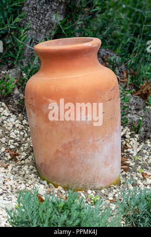 Decorative antique Amphora in the garden Stock Photo