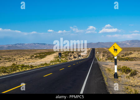 Llama crossing road sign in Peru, South America