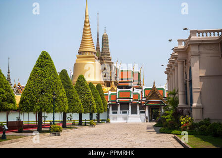 Conical trees on the path to the Phra Si Ratana Chedi, Grand Palace, Bangkok, Thailand Stock Photo