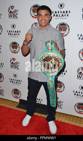 Las Vegas, Nevada, USA. 9th Aug, 2015. Boxer Victor Ortiz attends the Nevada Boxing Hall of Fame 3rd Annual Induction Dinner on Agust 8 2015 at Caesars Palace in Las Vegas, Nevada. Credit: Marcel Thomas/ZUMA Wire/Alamy Live News Stock Photo