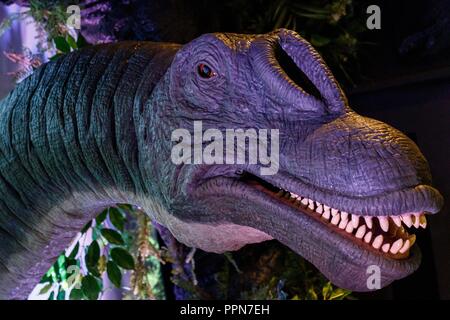 Tokyo, Japan. 27th Sep 2018. A dinosaur robot works at the front desk of Henn-na Hotel Haneda on September 27, 2018, Tokyo, Japan. The new branch of Henn-na Hotel, which translates literally as ''weird hotel, '' is located near Otorii Station, six minutes from Haneda International Airport. Robot staff at the hotel are programmed to attend to guests in English, Chinese, Korean and Japanese. Credit: Aflo Co. Ltd./Alamy Live News Stock Photo