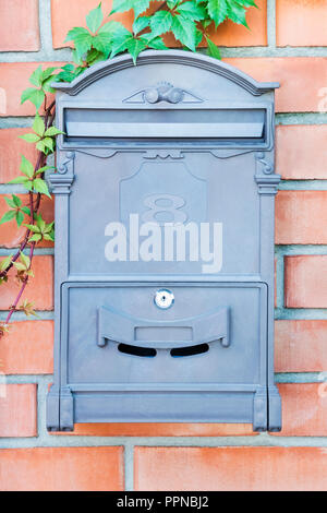 Gray old mailbox on brick wall with grapevine Stock Photo