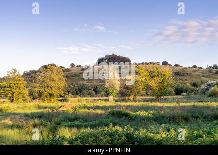 View over the water meadows of the Itchen River towards to St Catherines Hill a small chalk hill near Winchester, England, UK Stock Photo