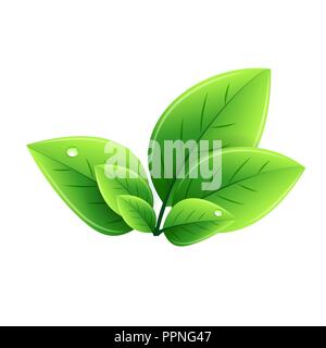 Vector eco green leaves. Abstract ecology background Stock Vector