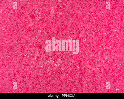 Pimk sponge texture background Stock Photo